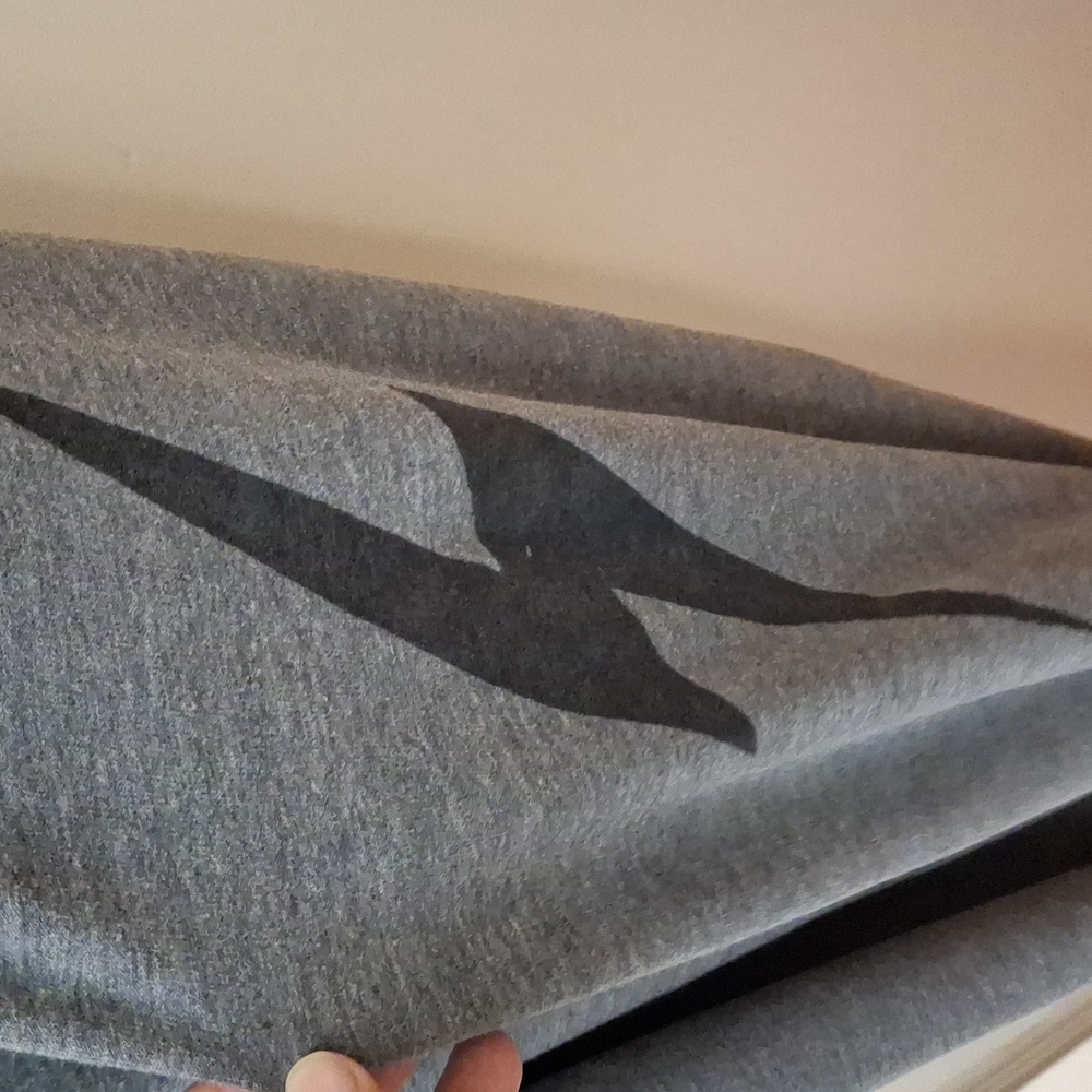 Aviator Nation Gray Joggers with Black Accents_1 - Picture 4 of 9